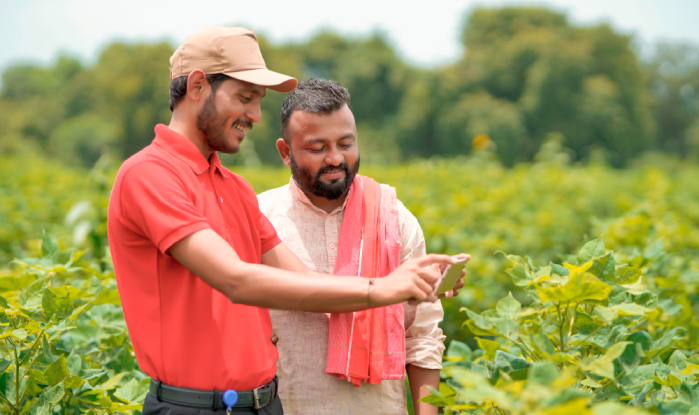 Agriculture Insurance